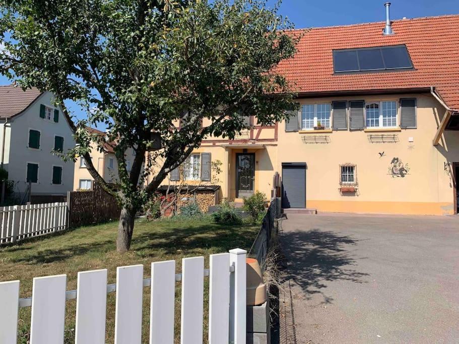 Gite Cosy Pour 2 A 4 Personnes, Village Proche Mulhouse Burnhaupt-le-Bas Exterior foto